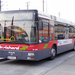 busz (34)