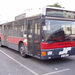 busz (46)