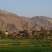 mountains-farm-fields-india-xl (Medium)