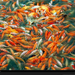 orange-fish-gipstein-969570-xl (Medium)