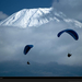 paragliders-mount-fuji-kasmauski-709294-xl (Medium)