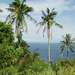 palms-ocean-view-dsc04660-wp