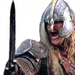 Eomer 40