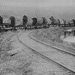 Amerikai gőzmozdony rönkszállító vonattal Aberdeen cca. 1920
