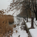 Balatonfüred tél 2013 január 071