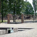 Auschwitz-Birkenau05