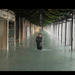 34VENISE ET LA PLUIE (raymond).008