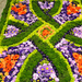 carpet of flower.028