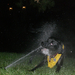 simon&the sprinkler