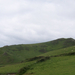 Salcombe Hills + bárányok