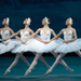 ballet-swan-lake