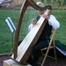 200px-harpist-062604-2