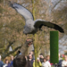 0078keukenhof05-04-09 (Medium)