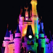 disney  (Medium)