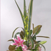 ikebana-orchid-rose-44-web (Medium)