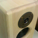 speaker (1)