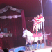 Magyar Nemzeti Cirkusz- 2013