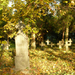 Régi temető