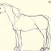 horse4