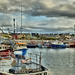 Dingle harbour