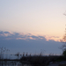Album - Balaton természet  vízpart  tájkép