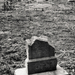 mihályfai temető V
