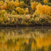 ősz a folyó mentén