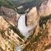 Yellowstone Falls II