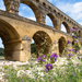 Pont du Gard + virág